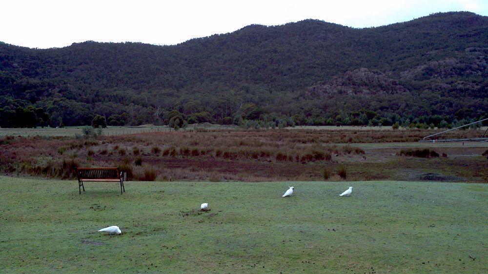 Halls Gap Motel Exterior foto